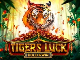 Tiger's Luck - Hold & Win screenshot