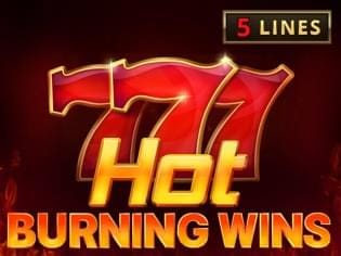 Hot Burning Wins screenshot